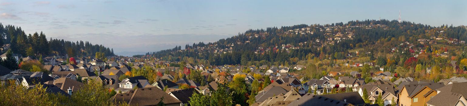 Typical Residential Homes in Suburban Town in North America