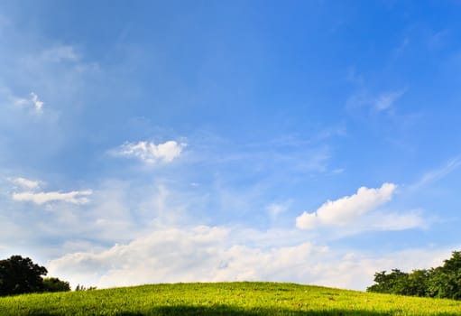 field and sky