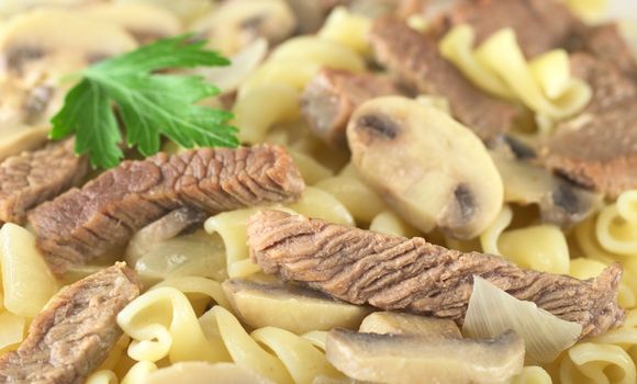 Veal strips with white mushrooms and onion in cream sauce served on fusilli pasta and garnished with a parsley leaf (Selective Focus, Focus on the veal strip on the right front and the onion in front)