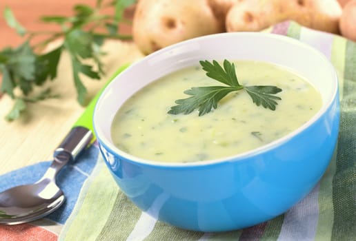 Cream of potato with herbs and green onions garnished with parsley and served in a blue bowl with potatoes and parsley in the back (Selective Focus, Focus on the front of the parsley)