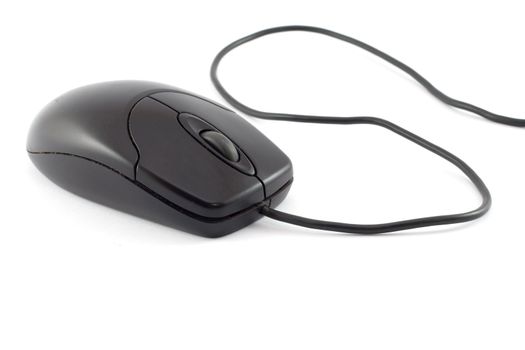 Black computer mouse on white background