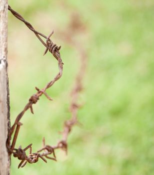 old rusty barbwire