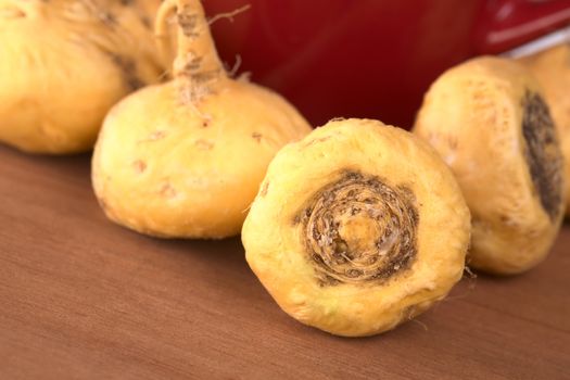 Peruvian Ginseng (Sp. Maca, lat. Lepidium meyenii) which is widely used in Peru for its various health effects and high nutritional value with a red tea cup in the back on wood (Selective Focus, Focus on the front root)