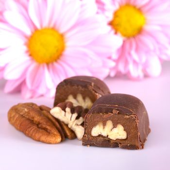Pecan nut truffle with pecan nut beside and pink flowers in the back (Very Shallow Depth of Field, Focus on the upper front part of the truffle)