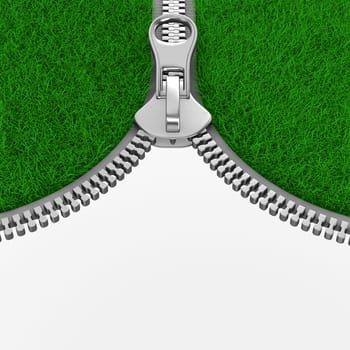 Zipper with grass on white background. Isolated 3D image