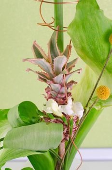 Pineapple in decorating home tree on green