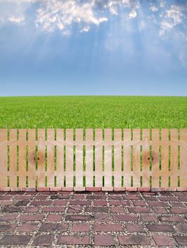 Agriculture garden with wooden fence, stone square paving by granite, paddy field with produce grains and rays from heaven