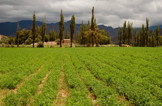 Rough attractive scenery in North East Argentina