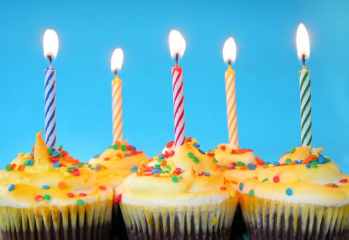 A group of cupcakes with burning candles on a blue background.