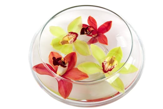 Fresh orchids in a bowl of water
