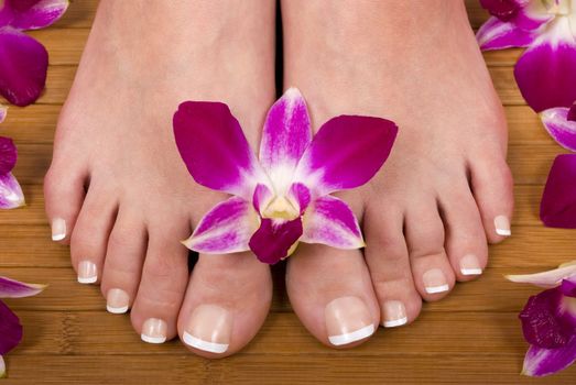 Spa treatment with fresh beautiful orchids