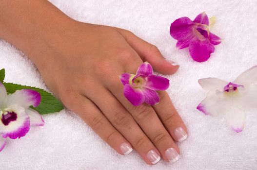 Spa with elegant orchids
