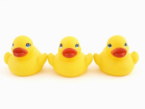 Three little rubber yellow ducks isolated against a white background.