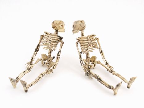Two skeleton figures in sitting position, isolated against a white background.