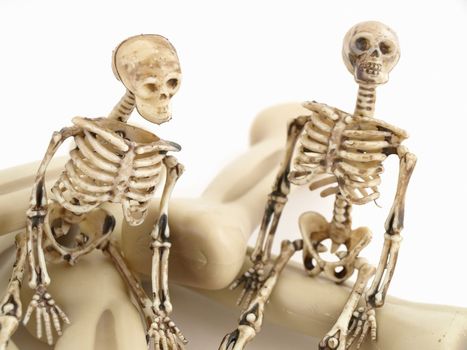 Two skeleton figures sitting on some bones isolated on a white background