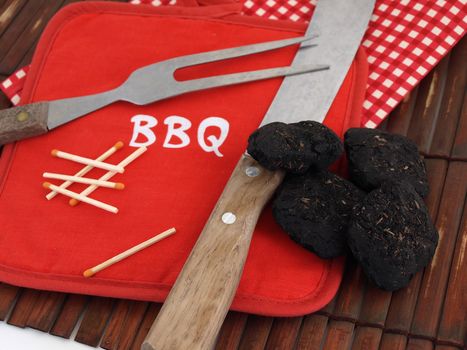 Items used for a Barbeque, including charcoal, wooden matches and a bright red pot holder.