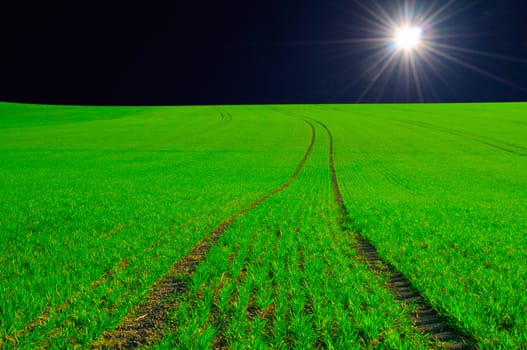 Perfect green farmland at night with strong light