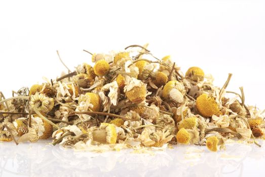 Dried chamomile on a white background.            