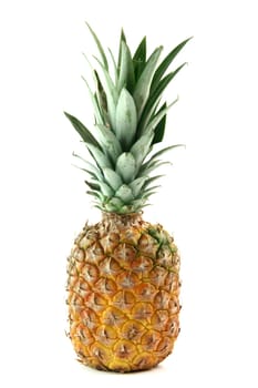 ananas isolated on white background fruits vegetables and agriculture concepts