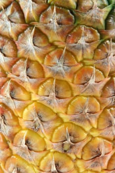 detail of ananas for background fruits vegetables and agriculture concepts