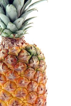 detail of ananas with copy space isolated on white background fruits vegetables and agriculture concepts