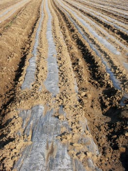coating technology in agriculture