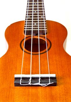 perspective of ukulele isolated on white background