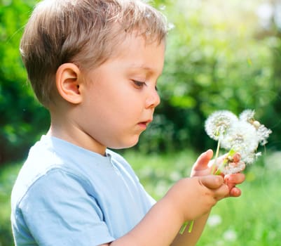 Cute 2 years old boy with dandelion outdoors at sunny summer day