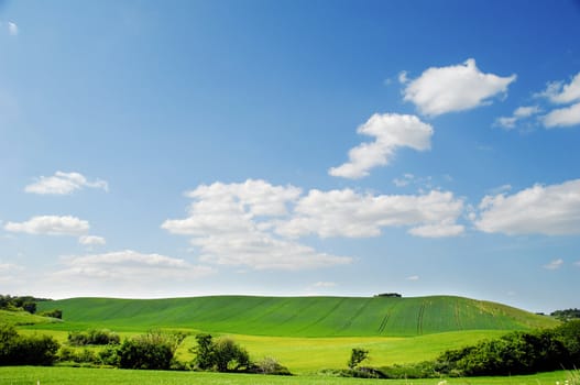 Landscape with green nature and blue and cloudy sky.