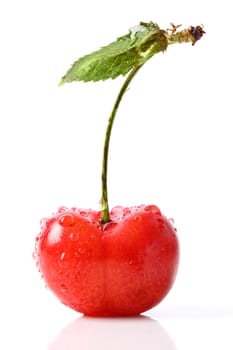 Fresh red cherry isolated on white background