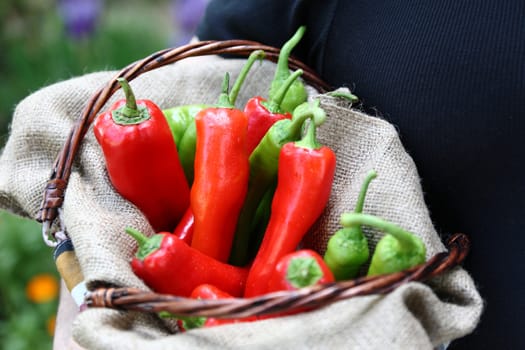 Man holding a basket with red and green peperoni