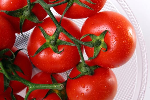 Close up of red tomatoes with water drops over