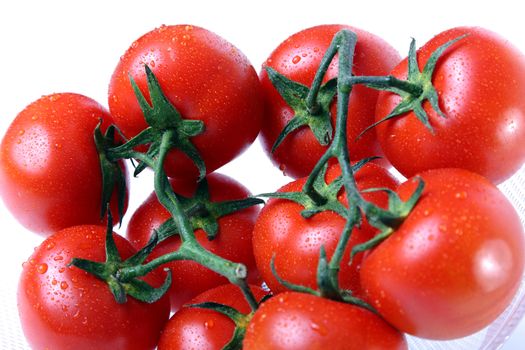 Close up of red tomatoes with drops of wather in white background