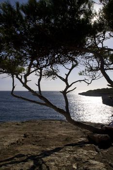 view in Cala pi Mallorca