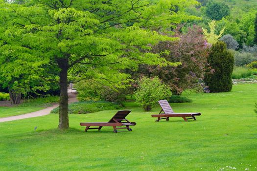 benches in a beautiful park in the summer