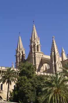 cathedral in La Palma, Mallorca