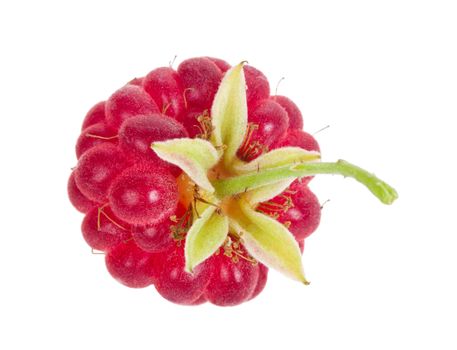 close-up ripe raspberry, isolated on white