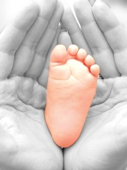 Close up of baby feet, isolated towards white background