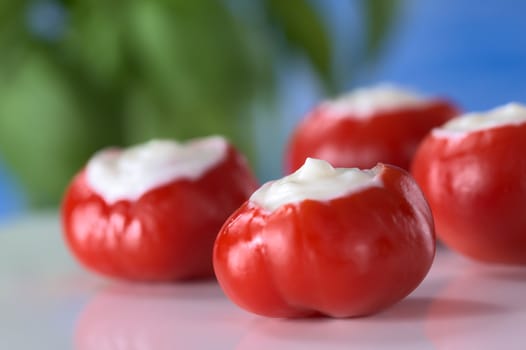 Small round hot red pepper filled with sour cream (Very Shallow Depth of Field, Focus on the tip of the sour cream filling in the first pepper)