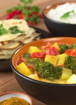 Delicious vegetarian Indian curry with rice and chapati flatbread in the back (Selective Focus, Focus on the broccoli in the front)