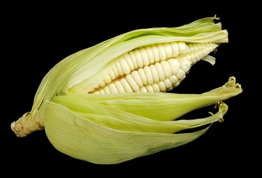 Corn cob on black (Selective Focus, Focus on the kernels)