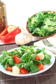 mixed salad with lettuce, peppers and goat cheese