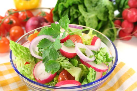 mixed salad with lettuce, radishes, tomatoes and parsley