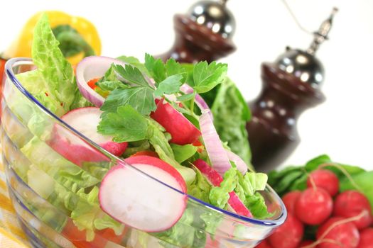 mixed salad with lettuce, radishes, tomatoes and parsley