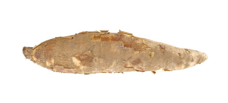 Raw cassava (lat. Manihot esculenta) isolated on white
