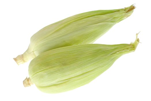 Two corn cobs isolated on white (Selective Focus, Focus on the first cob)