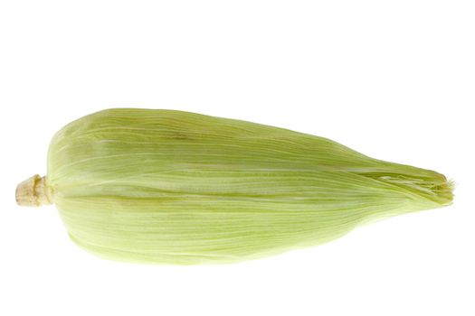 Corn cob isolated on white 
