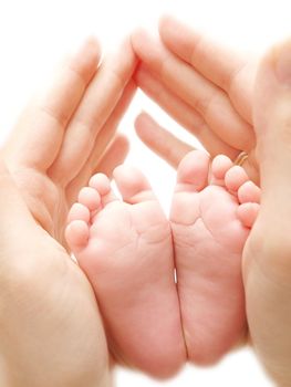 Babies feet between parent hands isolated towards white background