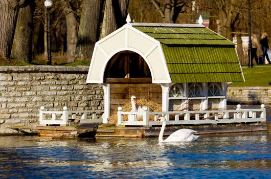 Ornate Swan house and nest in the ornamental pond in Kadriorg gardens by the palace in Tallinn Estonia