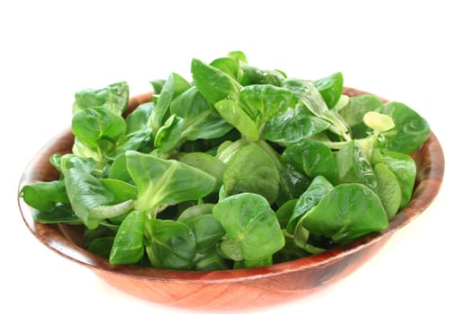 fresh corn salad in a wooden bowl on white background